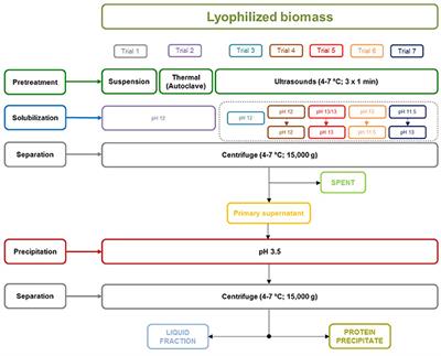 Recovery of Protein Concentrates From Microalgal Biomass Grown in Manure for Fish Feed and Valorization of the By-Products Through Anaerobic Digestion